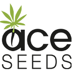 Ace Seeds