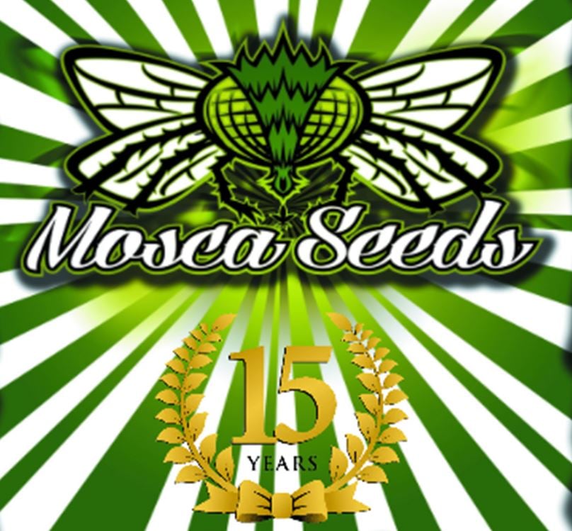 Mosca Seeds 3 FREE