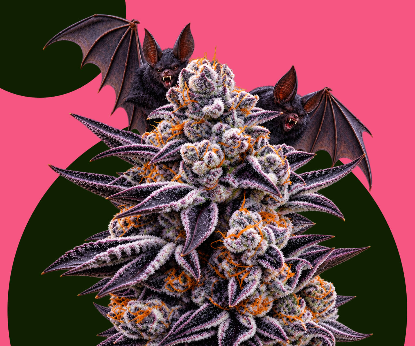 Cultivador inspeccionando plantas de cannabis en un invernadero