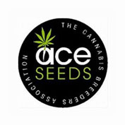 Ace Mix Feminised Seeds