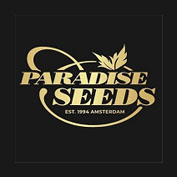 Ice Cream Feminised Seeds